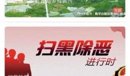 周四最新爆料新闻视频,最新爆料新闻视频深度解析