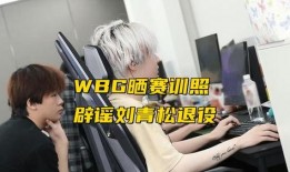 冷少爆料博主完整视频,独家内幕大公开